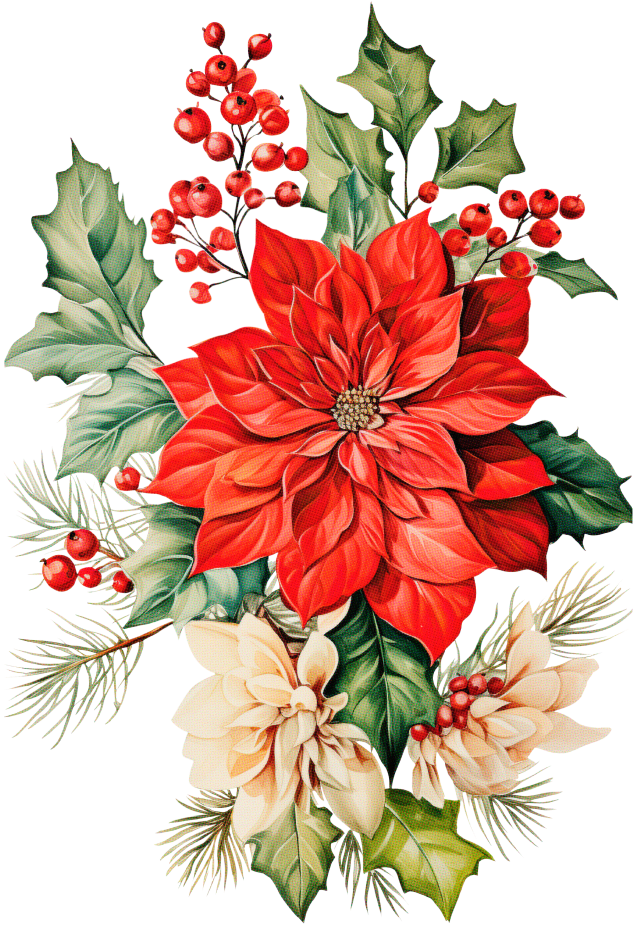 Poinsettas